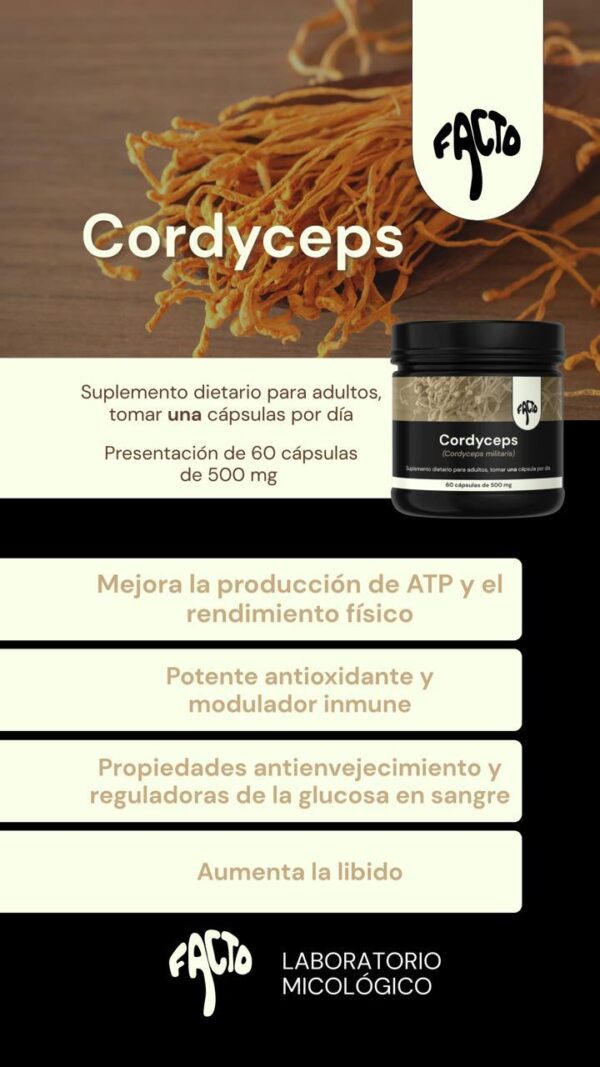 Cápsulas Cordyceps - Image 2