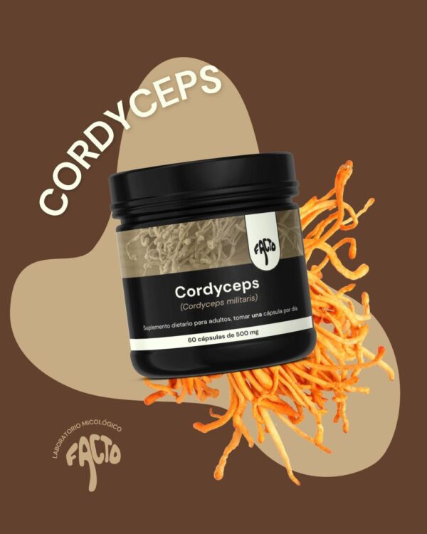 Cápsulas Cordyceps