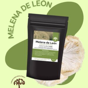 Polvo Melena de león 60grs