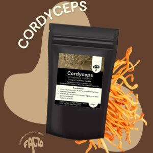 Polvo Cordyceps 60grs