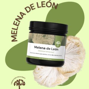 Cápsulas Melena de León