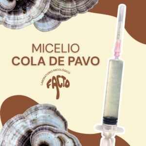 Micelio líquido - Cola de pavo