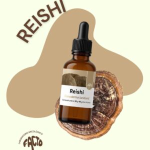 Doble Extracto de Reishi